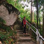 รูปภาพที่ 8