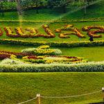 รูปภาพที่ 4