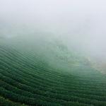 รูปภาพที่ 2