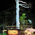 รูปภาพที่ 3