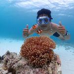 รูปภาพที่ 9