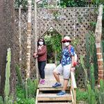 รูปภาพที่ 1