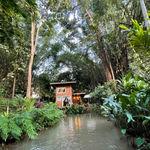 รูปภาพที่ 6