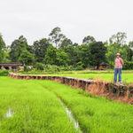 รูปภาพที่ 1