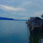 รูปภาพที่ 1