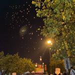 รูปภาพที่ 8
