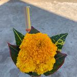 รูปภาพที่ 3
