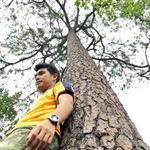 รูปภาพที่ 2