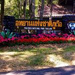 รูปภาพที่ 7
