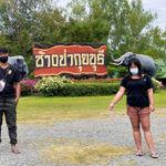 รูปภาพที่ 2