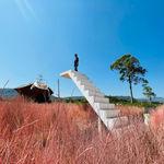 รูปภาพที่ 4
