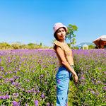 รูปภาพที่ 3