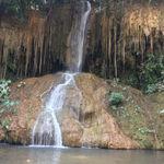 รูปภาพที่ 1