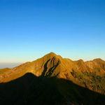 รูปภาพที่ 5