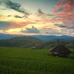 รูปภาพที่ 2