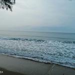 รูปภาพที่ 5