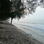 รูปภาพที่ 4