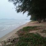 รูปภาพที่ 2