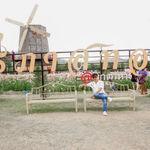 รูปภาพที่ 3