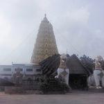 รูปภาพที่ 8