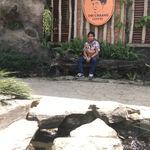 รูปภาพที่ 9