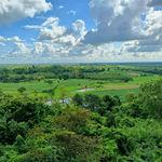 รูปภาพที่ 2