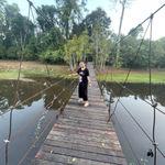 รูปภาพที่ 1