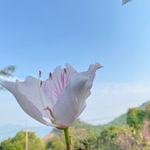 รูปภาพที่ 5