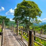 รูปภาพที่ 4
