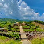 รูปภาพที่ 2