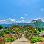 รูปภาพที่ 1