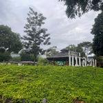รูปภาพที่ 6