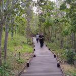 รูปภาพที่ 2