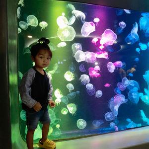 รูปภาพที่ 7