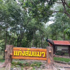 รูปภาพที่ 3