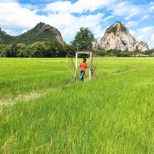 รูปภาพที่ 4