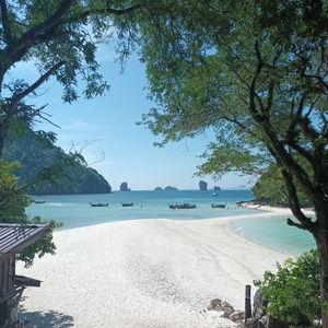 รูปภาพที่ 4