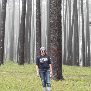 รูปภาพที่ 8