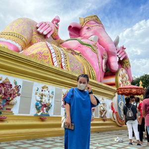 รูปภาพที่ 8
