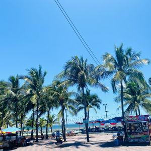 รูปภาพที่ 4