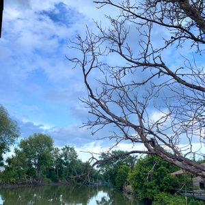 รูปภาพที่ 5