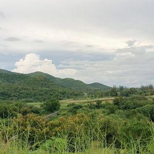 รูปภาพที่ 8