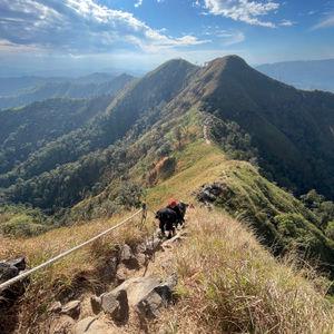 รูปภาพที่ 1