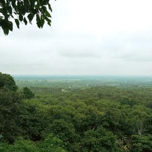 รูปภาพที่ 2