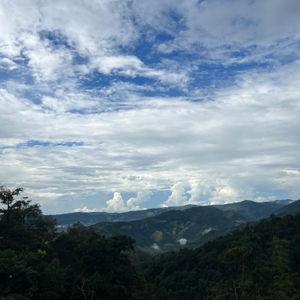 รูปภาพที่ 1