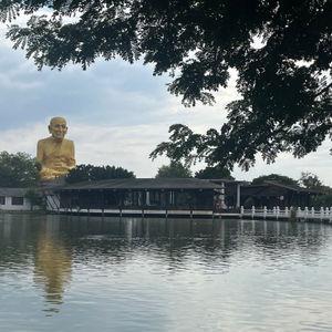 编号4