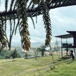 รูปภาพที่ 8