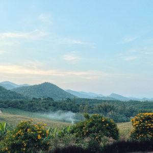 รูปภาพที่ 5