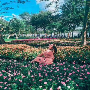 รูปภาพที่ 9