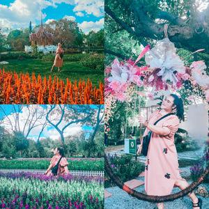รูปภาพที่ 4